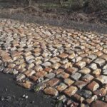 paris roubaix 2023