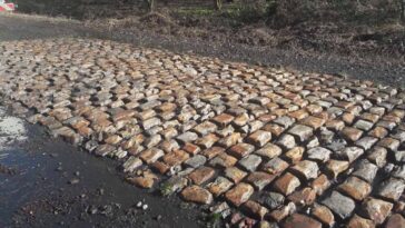 paris roubaix 2023