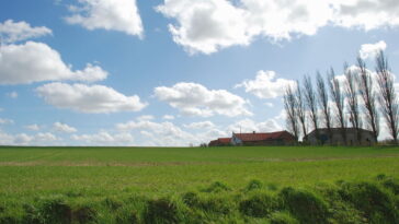 découvrez les flandres, une région riche en histoire et en culture, où des paysages pittoresques se mêlent à une gastronomie savoureuse. explorez ses charmants villages, ses traditions uniques et profitez d'activités variées pour tous les âges.