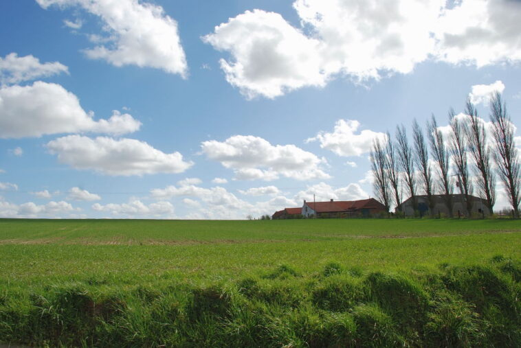 Newsletter Wheel Talk - Triomphe et chagrin aux Flandres 7 découvrez les flandres, une région riche en histoire et en culture, où des paysages pittoresques se mêlent à une gastronomie savoureuse. explorez ses charmants villages, ses traditions uniques et profitez d'activités variées pour tous les âges.