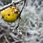 le froid glacial à la flèche wallonne rappelle au peloton que la mère nature est le rival le plus redoutable des coureurs 25 découvrez l'ultime défi des coureurs face au froid glacial. préparez-vous avec nos conseils pour surmonter les conditions climatiques les plus extrêmes et améliorer vos performances tout en gardant votre motivation au top.