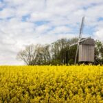 découvrez les soutiens en flandre : des ressources, des accompagnements et des initiatives locales pour vous aider dans vos projets et votre bien-être.