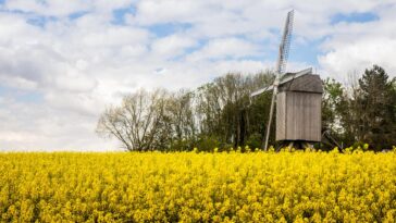 découvrez les soutiens en flandre : des ressources, des accompagnements et des initiatives locales pour vous aider dans vos projets et votre bien-être.