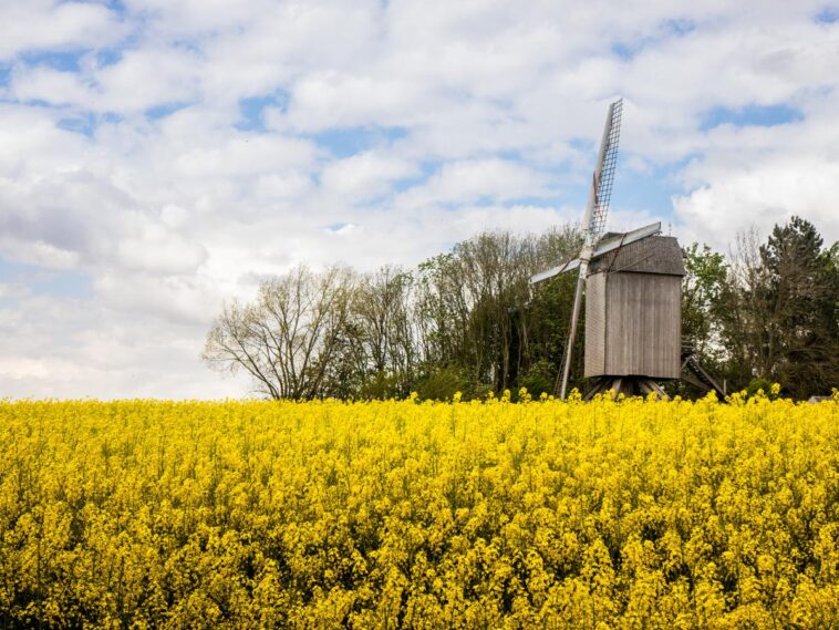 découvrez les soutiens en flandre : des ressources, des accompagnements et des initiatives locales pour vous aider dans vos projets et votre bien-être.