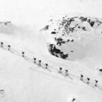 découvrez comment le storer montre ses compétences en montagne, en surmontant des défis et en s'épanouissant dans un environnement naturel exceptionnel. un voyage captivant au cœur des sommets et des paysages à couper le souffle.