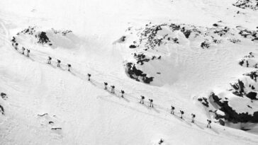 découvrez comment le storer montre ses compétences en montagne, en surmontant des défis et en s'épanouissant dans un environnement naturel exceptionnel. un voyage captivant au cœur des sommets et des paysages à couper le souffle.