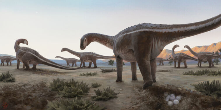 découvrez l'univers fascinant des titanesses du désert, des créatures légendaires qui peuplent les mythes et les contes des dunes. plongez dans un monde où la force et la sagesse se rencontrent, et laissez-vous emporter par des récits captivants sur ces titans des éléments arides.
