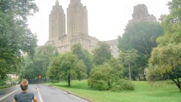découvrez les meilleures fermetures pour le tour de vélo à new york. explorez les options sécurisées et pratiques pour profiter pleinement de vos balades à travers la ville tout en gardant vos biens en sécurité.
