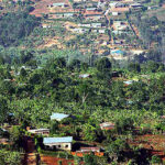 Un parcours semé d'embûches : Ayuso et Del Toro écartés de l'échappée triomphante de Tadej Pogačar lors des Mondiaux en Rwanda 25 découvrez toutes les informations sur les championnats du monde au rwanda : actualités, résultats, dates et temps forts de cet événement international incontournable.