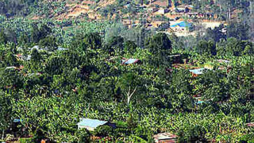 découvrez toutes les informations sur les championnats du monde au rwanda : actualités, résultats, dates et temps forts de cet événement international incontournable.