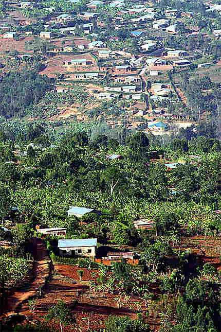 Un parcours semé d'embûches : Ayuso et Del Toro écartés de l'échappée triomphante de Tadej Pogačar lors des Mondiaux en Rwanda 7 découvrez toutes les informations sur les championnats du monde au rwanda : actualités, résultats, dates et temps forts de cet événement international incontournable.