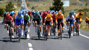 découvrez le picnic licence worldtour limitée et la composition uci 2026 : une vue d'ensemble exclusive sur les équipes, les licences et les changements majeurs de la saison à venir.