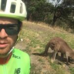 Frénésie de kangourous : Deux marsupiaux australiens provoquent des accidents spectaculaires lors d'une course cycliste 24 découvrez comment une frénésie soudaine de kangourous entraîne une hausse des accidents impliquant des cyclistes, mettant en lumière les dangers sur les routes.
