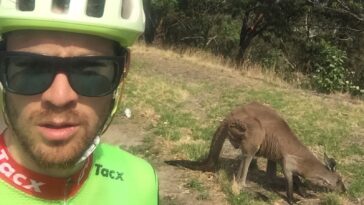 Frénésie de kangourous : Deux marsupiaux australiens provoquent des accidents spectaculaires lors d'une course cycliste 6 découvrez comment une frénésie soudaine de kangourous entraîne une hausse des accidents impliquant des cyclistes, mettant en lumière les dangers sur les routes.