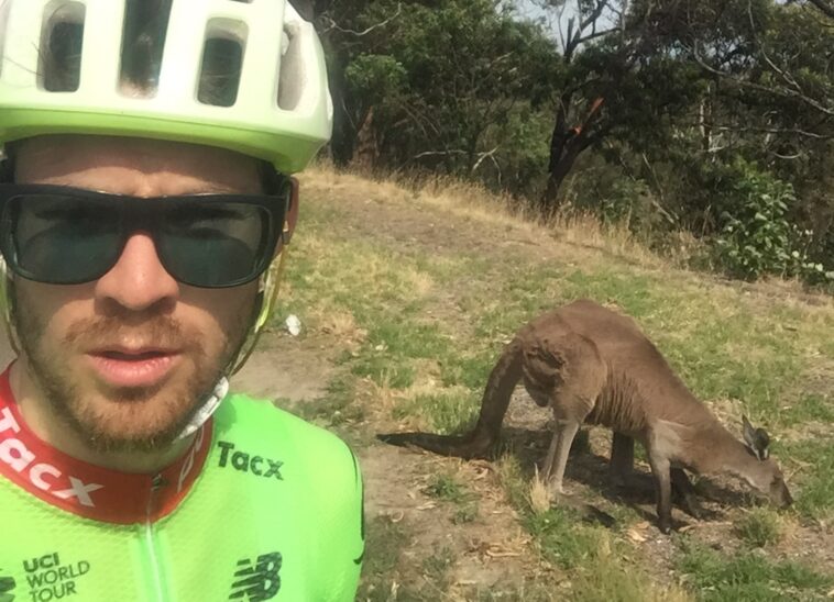 découvrez comment une frénésie soudaine de kangourous entraîne une hausse des accidents impliquant des cyclistes, mettant en lumière les dangers sur les routes.