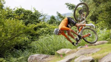 van der poel domine la course du nouvel an malgré une chute spectaculaire, montrant une performance impressionnante et une détermination sans faille.