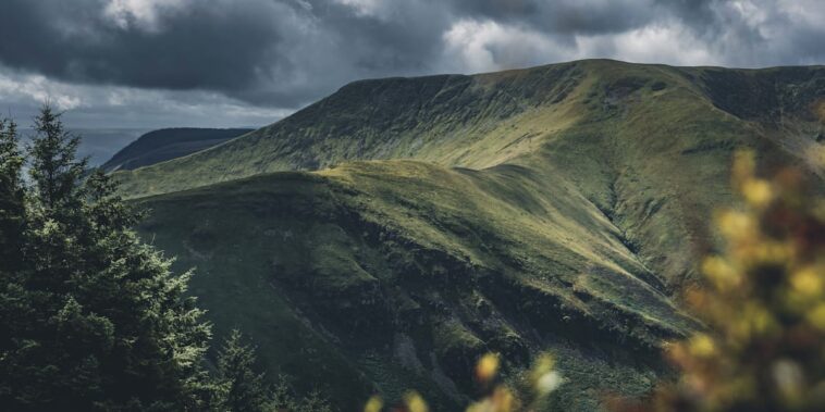 découvrez la taille impressionnante des sauts lors de la red bull hardline, la compétition vtt la plus extrême et spectaculaire.