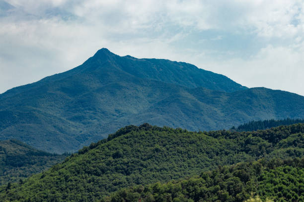 découvrez le verdict décisif de la green mountain, une analyse approfondie qui dévoile tous les enjeux et résultats clés de cet événement incontournable.