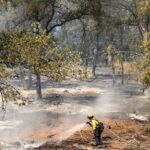 découvrez les détails sur la chaleur record récemment enregistrée en californie du sud et ses impacts sur la région.