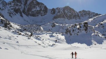 verona déçu par les licences andorre : découvrez les raisons de cette déception et son impact.