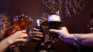 découvrez la bière santé blasi, une boisson artisanale alliant goût authentique et bienfaits naturels pour une consommation responsable et savoureuse.