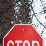 Réseau d'Informations Environnementales - Les Résidus d'Herbicides Perturbent le Cycle de l'Azote dans les Écosystèmes 25 découvrez comment les herbicides affectent le cycle de l'azote et impactent l'équilibre des écosystèmes agricoles et naturels.