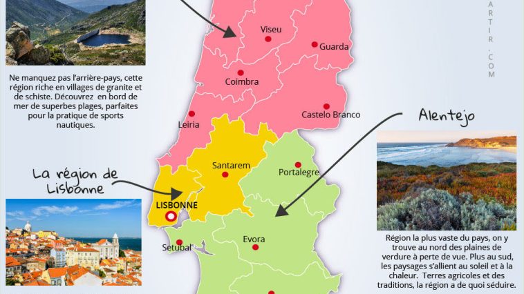 niewiadoma remporte une victoire spectaculaire au sommet du mont ventoux, marquant une étape mémorable dans sa carrière.